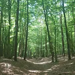 شقة Ostseesternchen