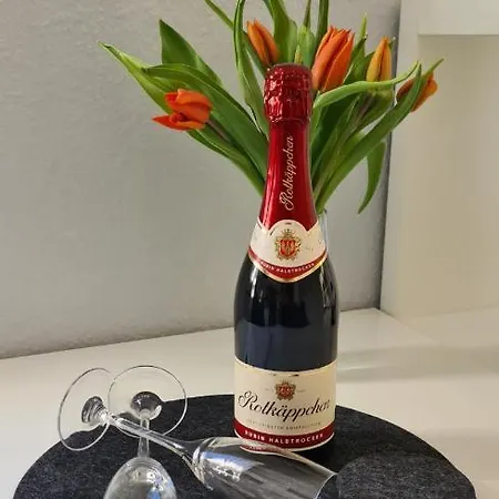 Ostseesternchen Appartement Zempin