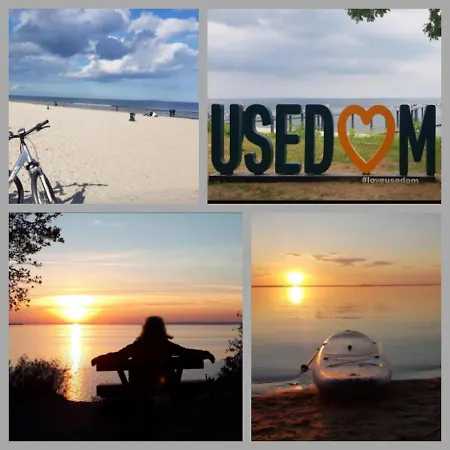 Ostseesternchen * Zempin