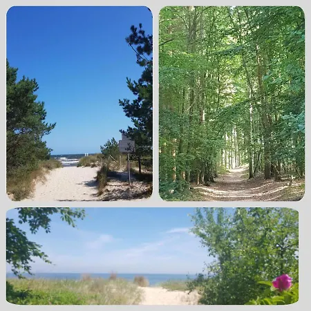 Ostseesternchen