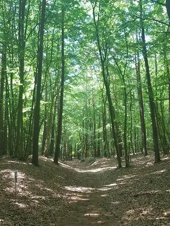 Apartment Ostseesternchen