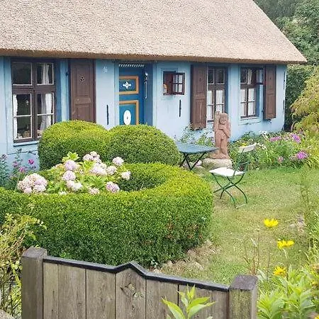 Apartmán Ostseesternchen *