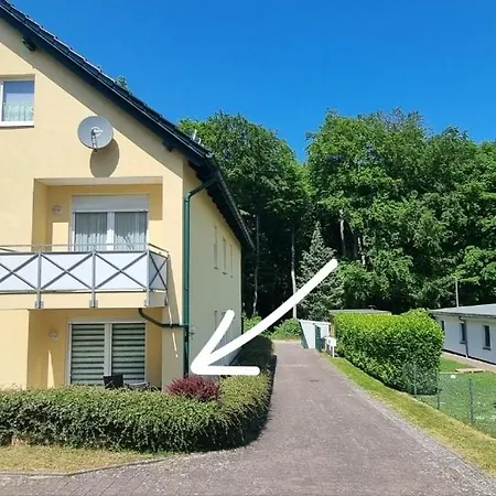 Ostseesternchen زيمبين