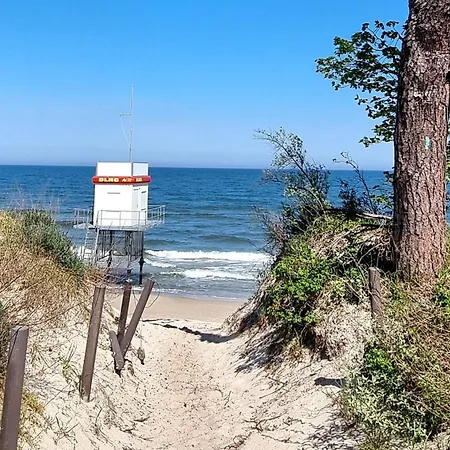 Ostseesternchen *