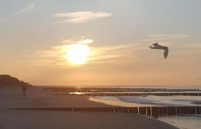 Ostseesternchen شقة